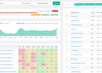 KeySearch Review 2024 The Ultimate Guide